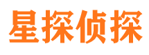 平乐侦探